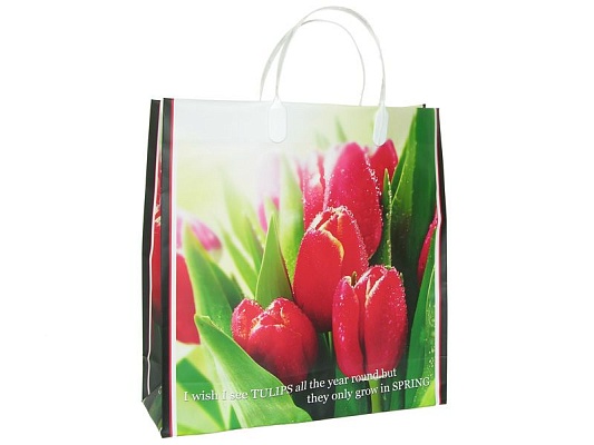 Подарочные пакеты 30x30+10 из мягкого пластика (BAM98 Tulips) Россия
